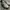 Lonsdale Streetwear Casual Sneakers Pria white photo 4