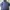 Uniqlo Luxury Sportswear Windbreaker Wanita navy blue photo 1