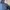 Uniqlo Luxury Sportswear Windbreaker Wanita navy blue photo 3