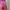 Cotton On Sportswear Legging Wanita pink photo 3