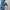 Adidas Sportswear Jersey Pria white blue photo 4