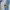 Adidas Sportswear Jersey Pria white blue photo 2