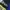 Nike Vintage Sportswear Jersey Pria blue yellow photo 4