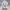 Vintage Y2K Hoody Pria gray photo 4