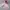 Vintage Y2K Hoody Pria pink photo 3