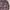 Vintage Y2K Cardigan Pria burgundy photo 3