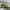 The North Face Sportswear Pria green black photo 1