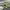 The North Face Sportswear Pria green black photo 3