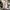 Compass Grunge Indie Casual shoe Pria cream photo 1