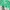 ZARA Luxury Fairy Windbreaker Wanita Green