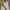 MLB Vintage Sportswear Summer dress Wanita white blue photo 1