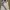 MLB Vintage Sportswear Summer dress Wanita white blue photo 2