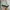 Nike Sportswear Sneakers Pria multicolor photo 1