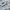Polo Ralph Lauren Streetwear Casual Hoody Pria Silver