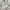 A.P.C. Vintage Streetwear Hoody Pria silver gray photo 2