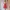 ASOS Coquette Summer dress Wanita orange photo 3