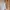 Coquette Going out dress Wanita white photo 1