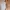 Coquette Going out dress Wanita white photo 3