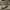 Clarks Casual Sneakers Pria tan photo 2