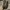 Clarks Casual Sneakers Pria tan photo 6
