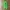 Streetwear Gorpcore Sweatpants & Joggers Pria green photo 5