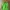 Streetwear Gorpcore Sweatpants & Joggers Pria green photo 3