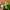 Streetwear Gorpcore Sweatpants & Joggers Pria green photo 4
