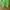 Streetwear Gorpcore Sweatpants & Joggers Pria green photo 2