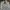 Daks Casual Harrington jacket Pria white photo 3