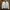 Casual Bomber Jacket Pria White