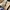 Vintage Y2K Hat Wanita tan cream photo 2