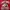 Gildan Vintage Sweatshirt Pria red photo 2