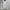 Shein Minimalist Casual Summer dress Wanita white photo 2
