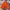 VANS Streetwear Skater Hat Pria multicolor photo 1