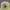 Carhartt Streetwear Minimalist Hat Pria green photo 7