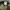 Carhartt Streetwear Minimalist Hat Pria green photo 6