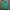 Casual Track jacket Pria green photo 1