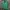 Casual Track jacket Pria green photo 2