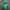 Casual Track jacket Pria green photo 6