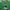 Pancoat Luxury Emo Sweater Pria green photo 2