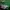 Pancoat Luxury Emo Sweater Pria green photo 4