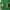 Pancoat Luxury Emo Sweater Pria green photo 3