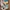 Converse Vintage Sneakers Pria white photo 1