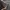 The Hundreds Streetwear Puffer jacket Pria black photo 5