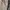 GAP Vintage Casual Casual pants Pria tan cream photo 5
