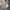 GAP Vintage Casual Casual pants Pria tan cream photo 3