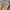 GAP Vintage Casual Casual pants Pria tan cream photo 2