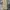 GAP Vintage Casual Casual pants Pria tan cream photo 1
