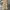GU Vintage Casual Pria tan khaki photo 1