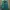 Y2K Sportswear Windbreaker Pria green photo 1